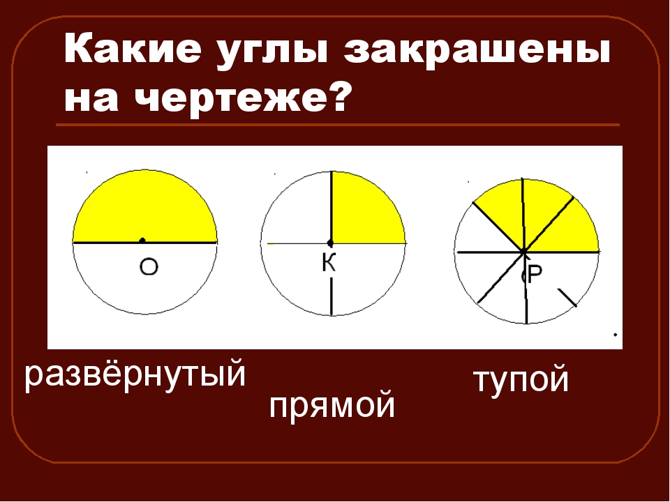 Видео урок круговые диаграммы 5 класс виленкин