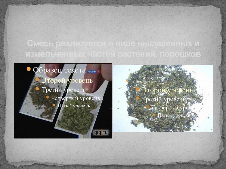 Вред марихуаны презентация жителям грузии разрешили выращивать коноплю дома закон