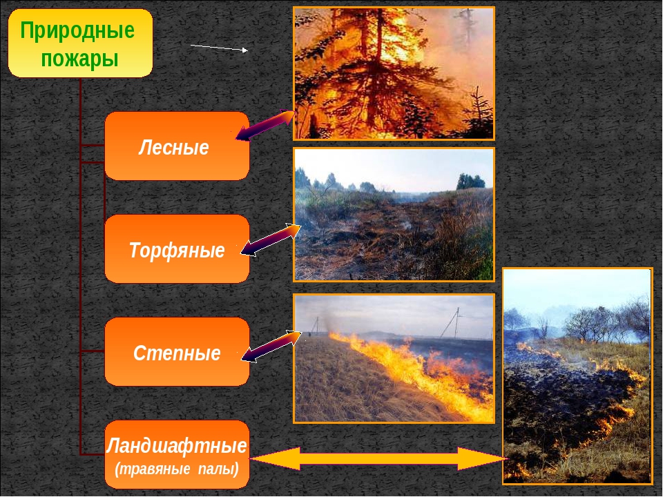 Таблица лесных пожаров