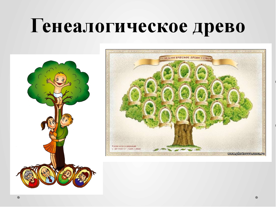 Конкурс генеалогическое древо. Генеалогическое дерево. Мое генеалогическое Древо. Родословное дерево семьи. Красивое дерево для родословной.