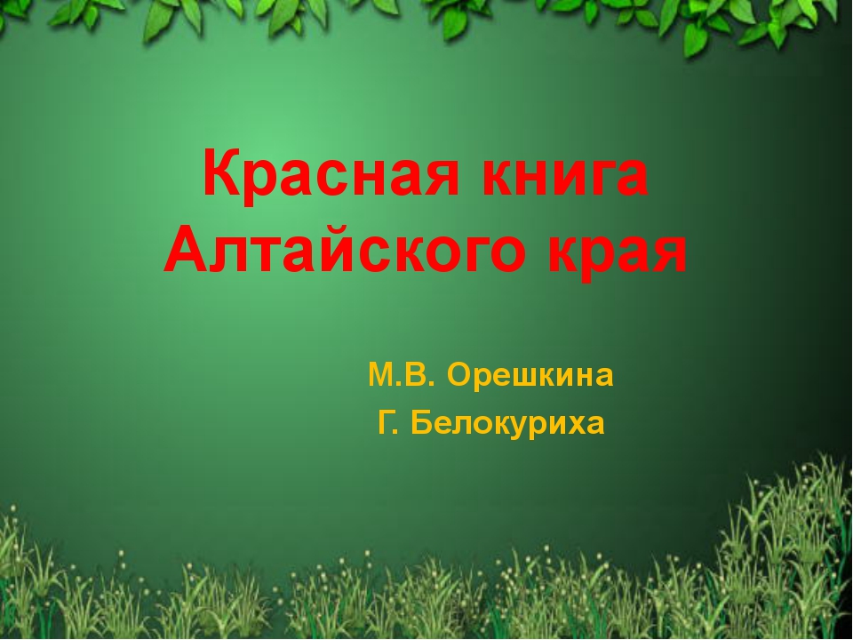 Растения красной книги алтайского. Красная книга Алтайского края. Красная книга Алтайского края презентация. Красная книга Алтайского края книга. Проект красная книга Алтайского края.