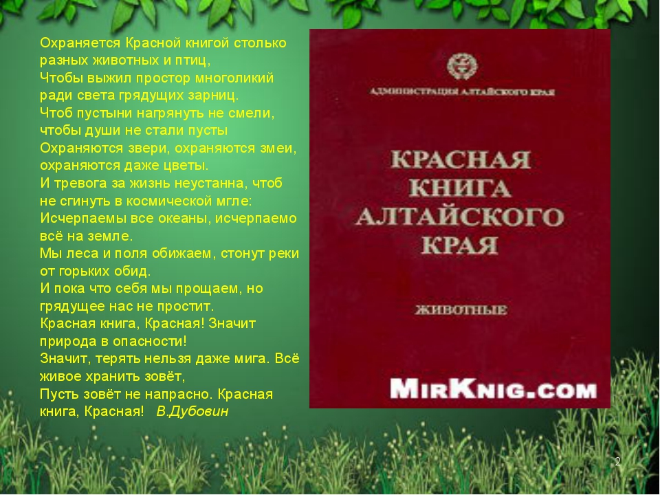 Проект на тему красная книга алтайского края