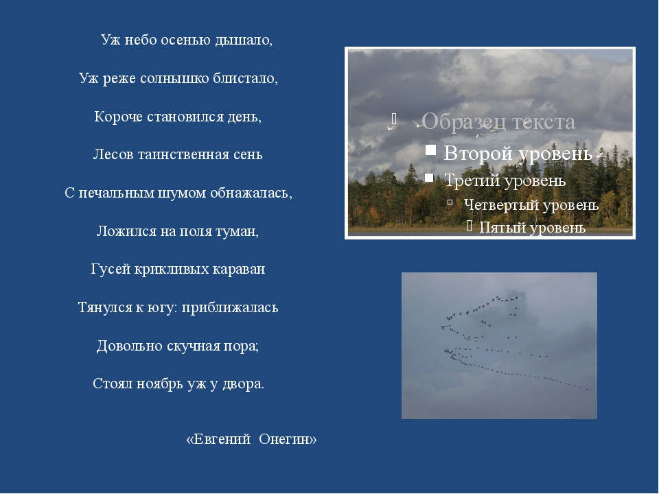 Ложится на поля туман гусей крикливых. Уж небо осенью блистало. Ложился на поля туман гусей крикливых. Описание неба осенью. Уж ярче солнышко блистало.