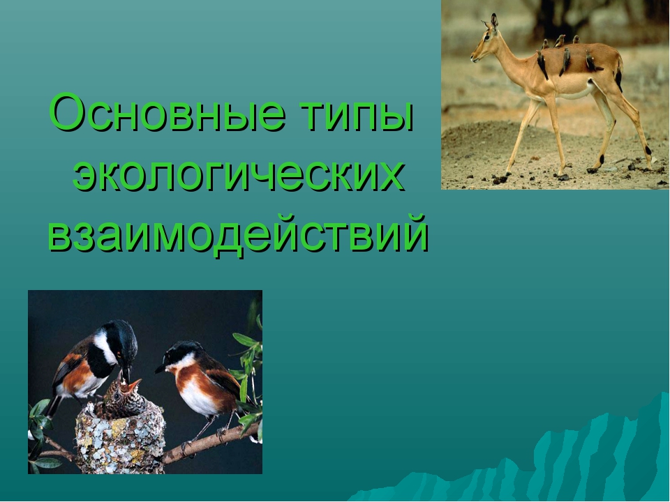 Мутагены их влияние на живую природу и человека презентация 11 класс