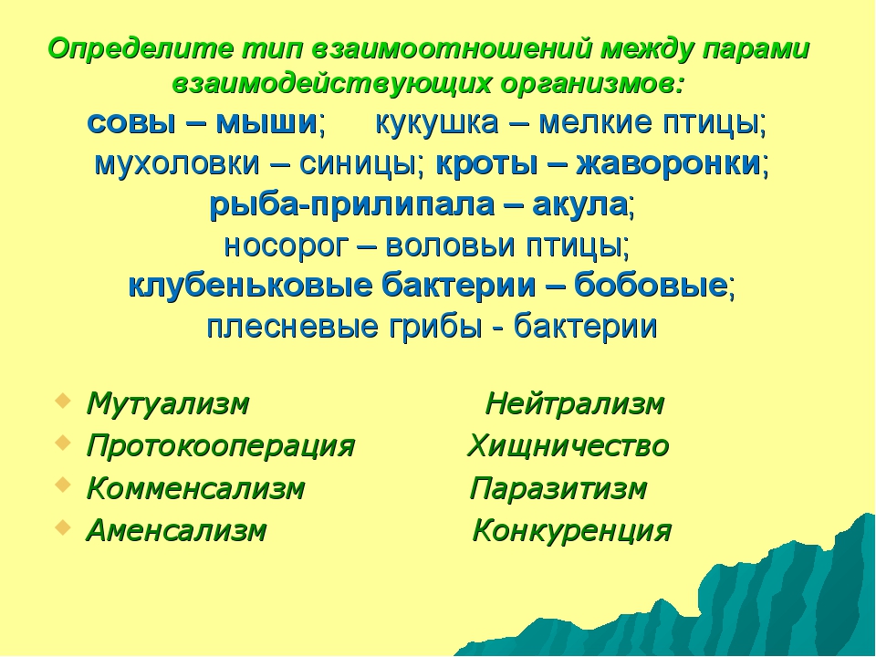 Экологические взаимодействия организмов презентация