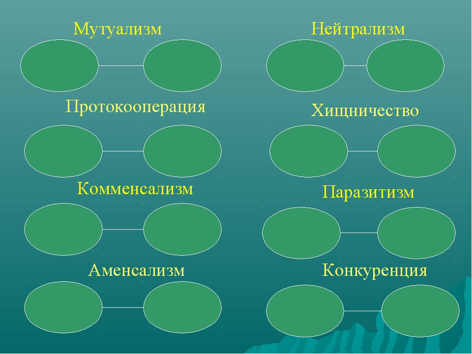 Взаимоотношения организмов презентация 11 класс