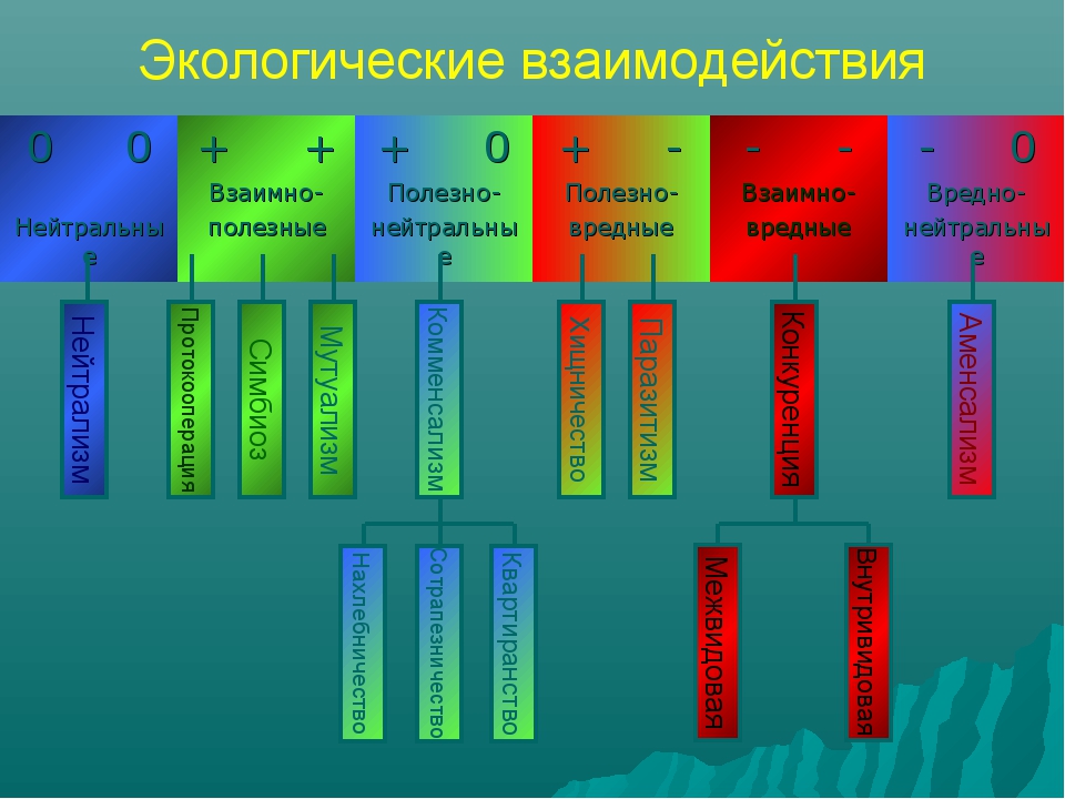 Взаимоотношения организмов егэ. Типы экологических взаимодействий. Экология взаимодействие организмов. Виды взаимодействия экология.