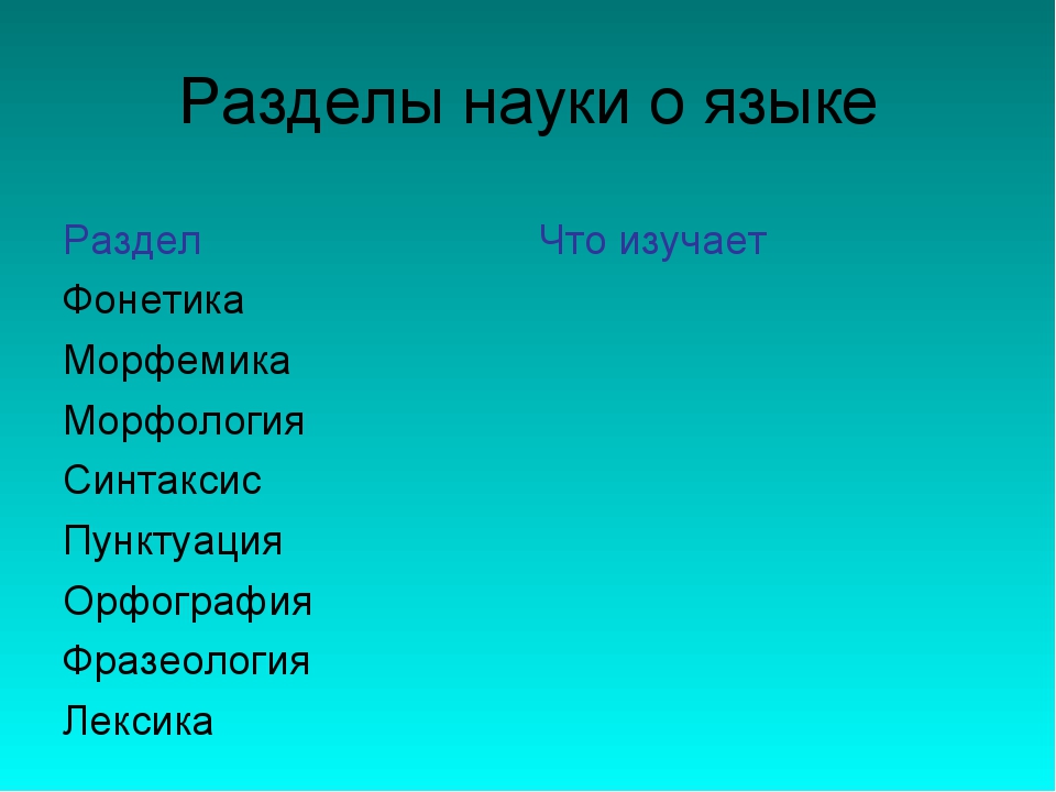 Презентация разделы науки о языке