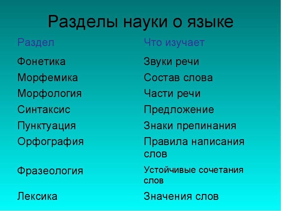 Презентация разделы науки о языке