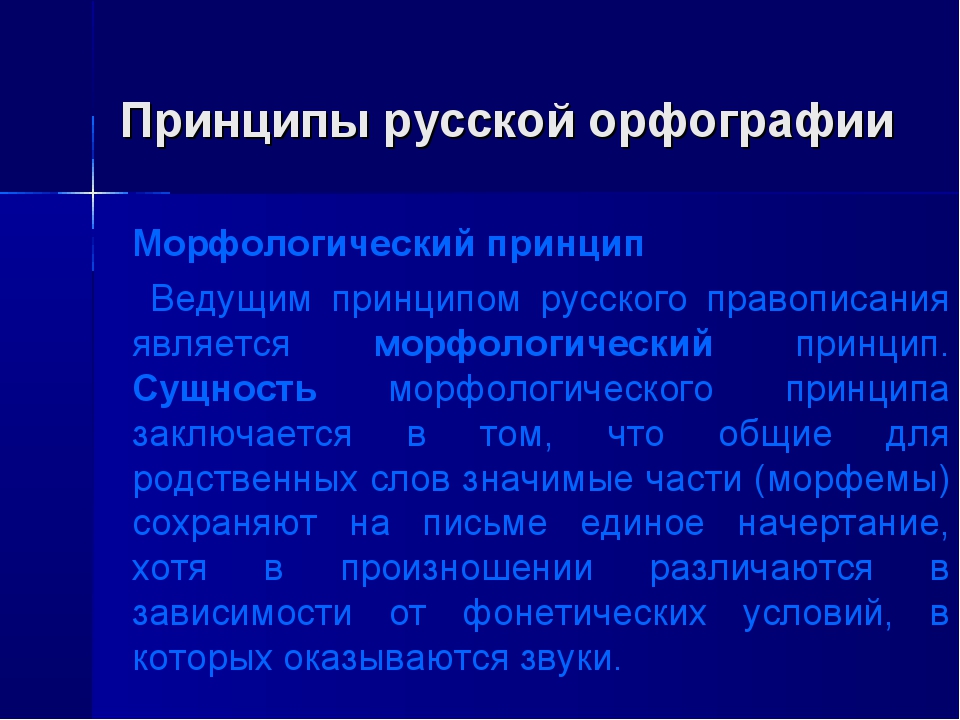 Принципы русской орфографии проект