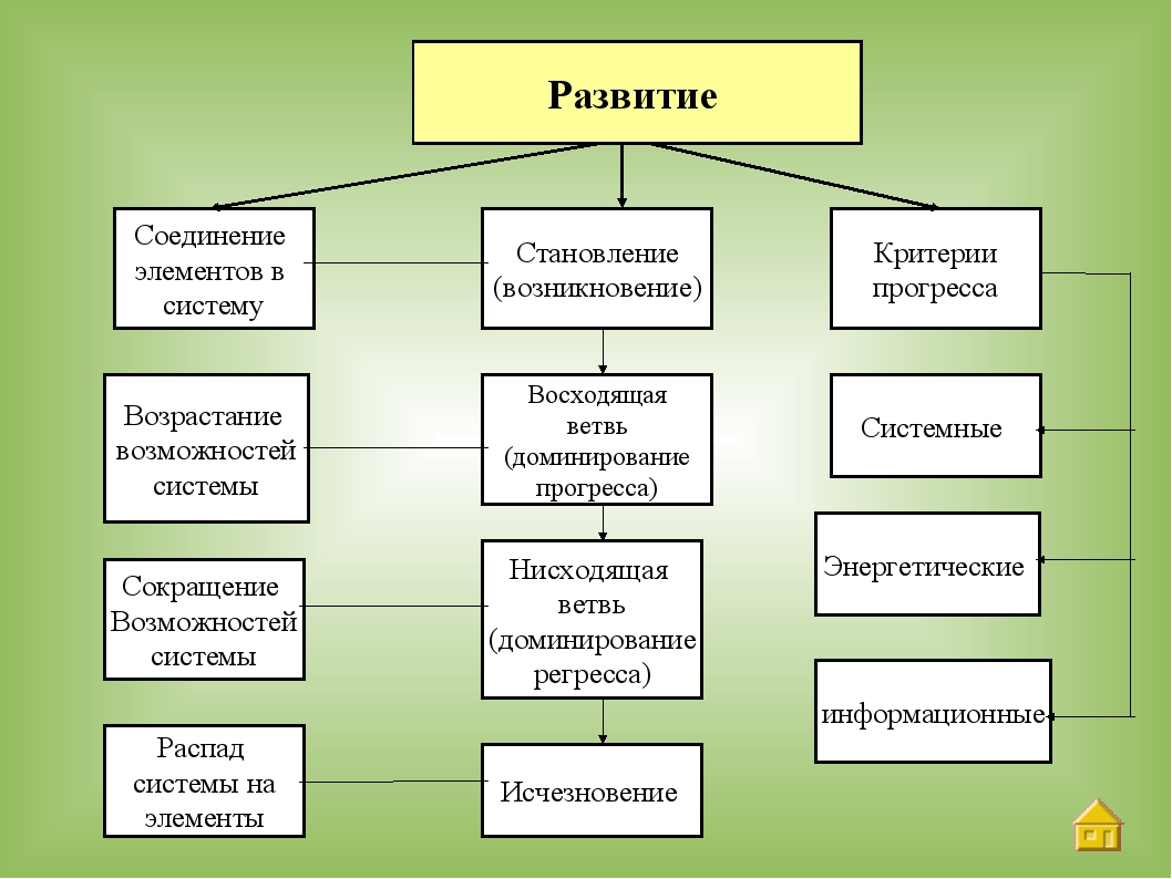 Теоретическая схема в философии