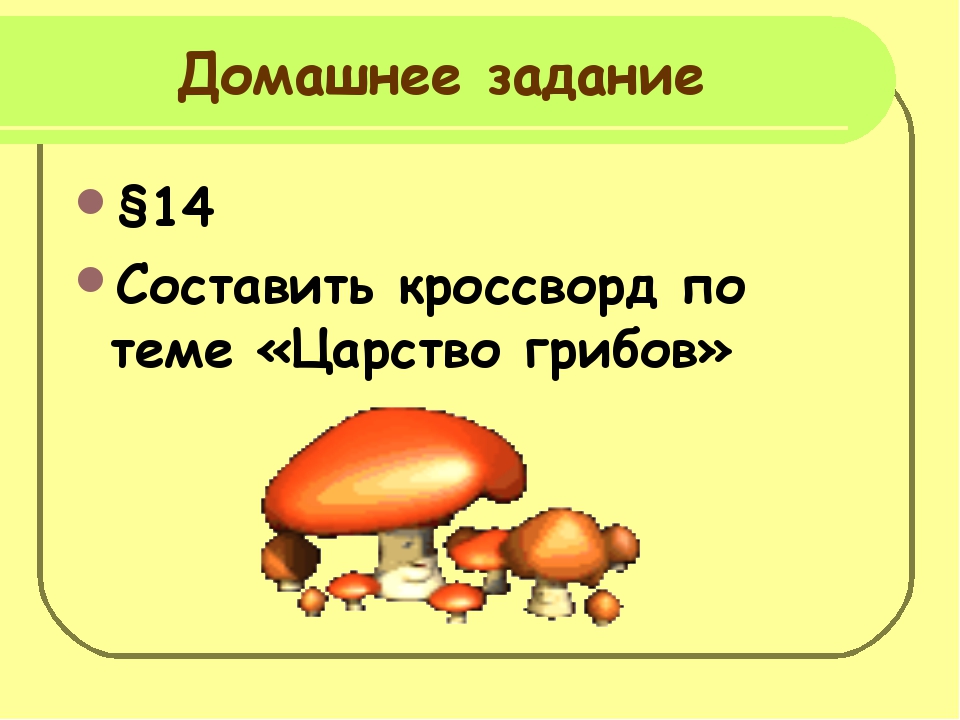 Тест грибы 5 класс биология с ответами. Многообразие грибов. Многообразие грибов 5 класс.