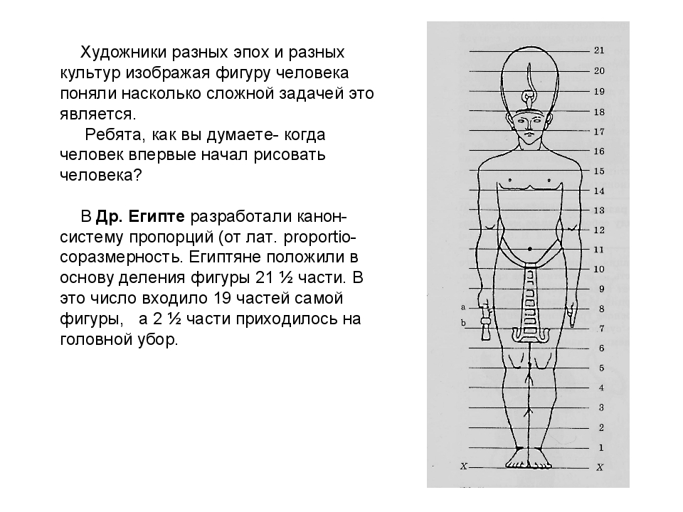 Изо 4 класс фигура человека презентация