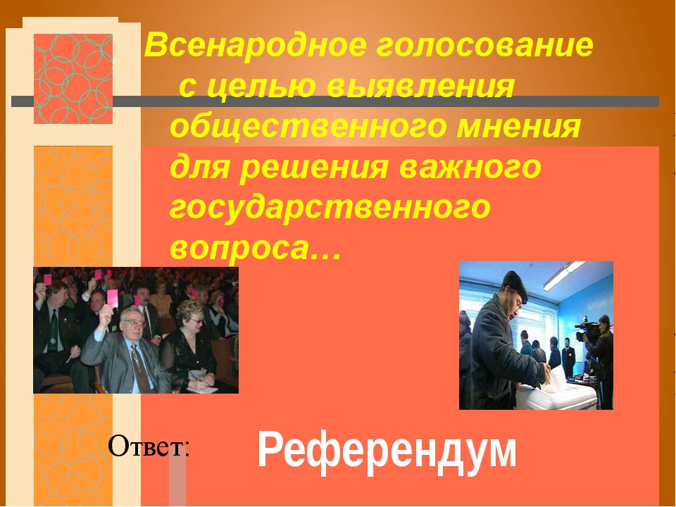 Всенародное голосование по проектам законов и другим вопросам государственного значения называется