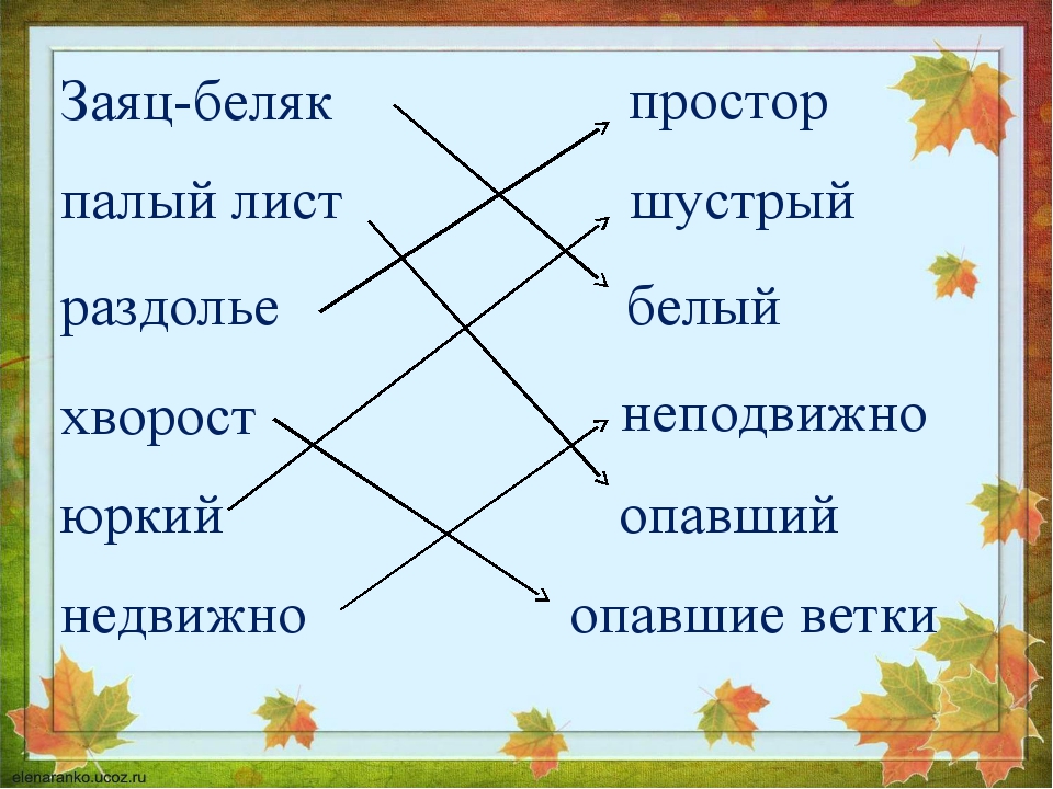 Презентация соколов микитов май 1 класс