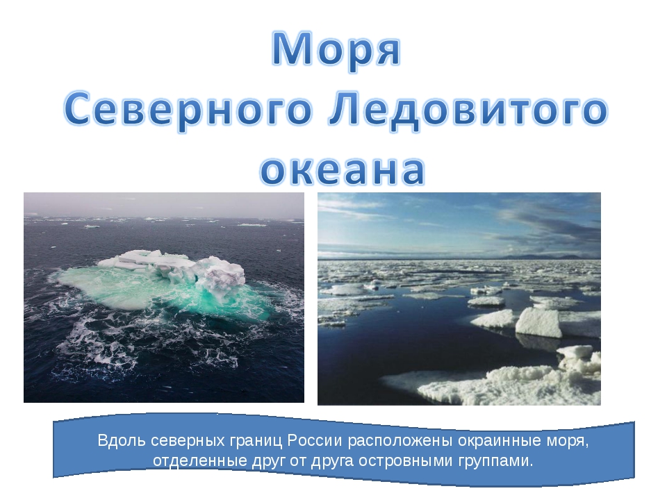 Какой океан омывает берега россии на севере