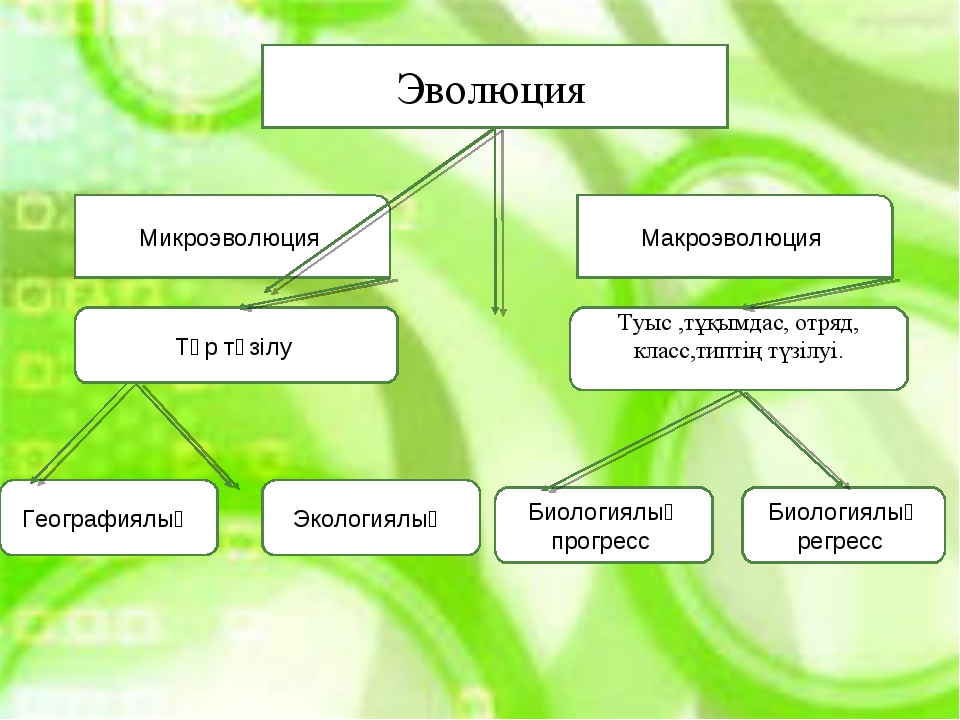 Макроэволюция и микроэволюция презентация