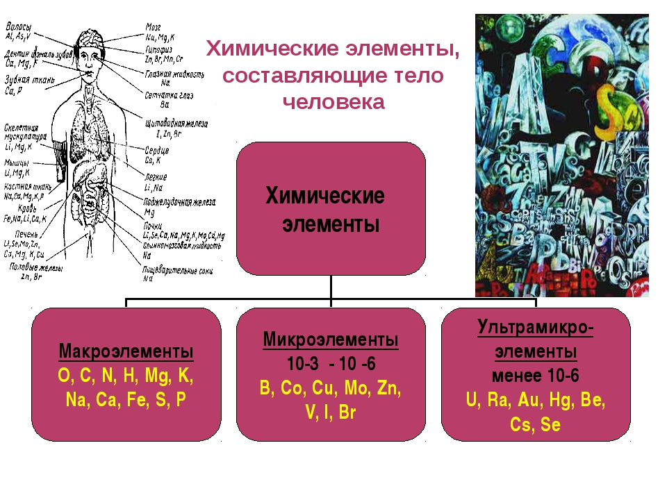 Химические элементы и соединения в организме человека