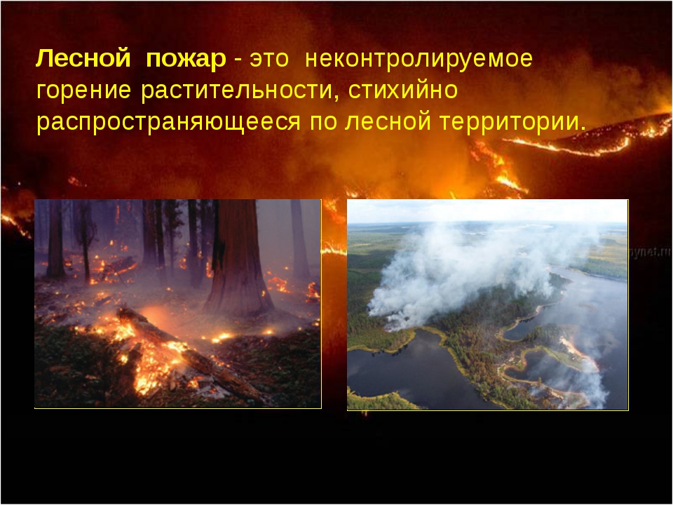 Лесной пожар это неконтролируемое горение растительности. Неконтролируемое горение растительности. Неконтролируемое горение растительности стихийно.