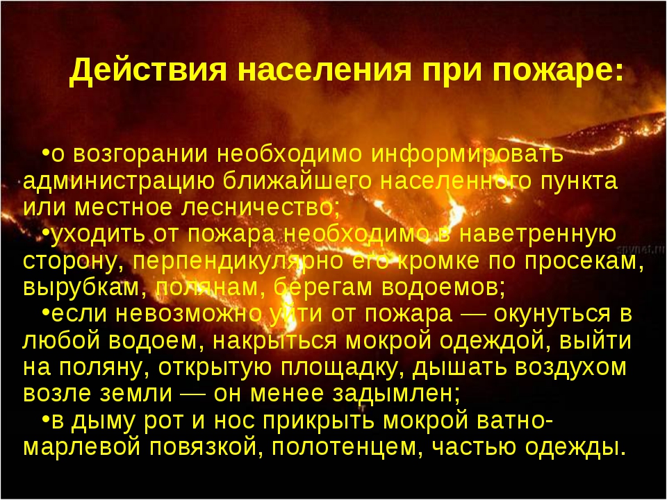 Лесные пожары план