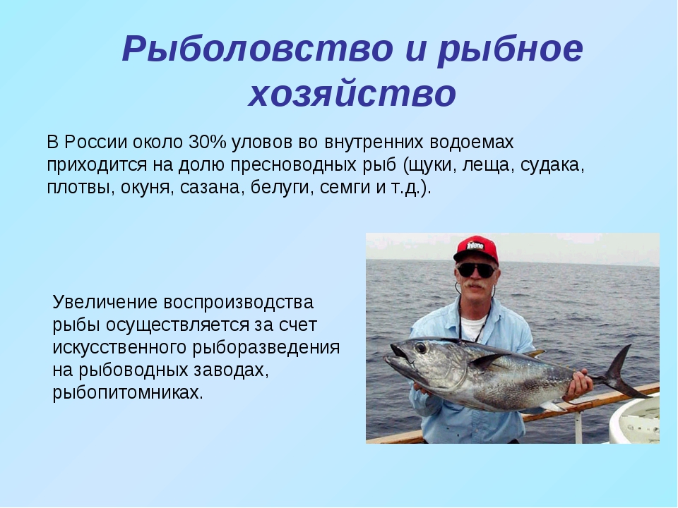 Презентация на тему рыболовство. Доклад на тему рыболовство. Рыболовство проект. Рассказ о рыболовстве.
