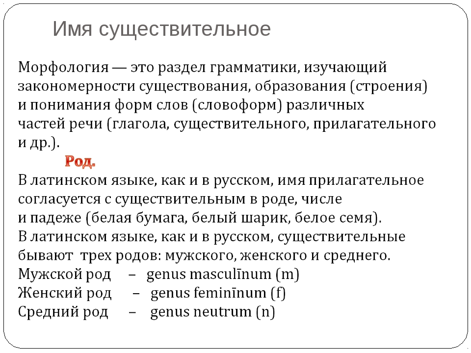 Имя существительное в латинском языке реферат 1929