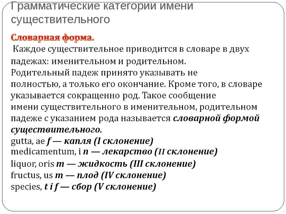 Грамматические категории существительного. Грамматические категории имени существительного. Грамматические категории имени существительного в русском языке. Классифицирующие категории существительного.