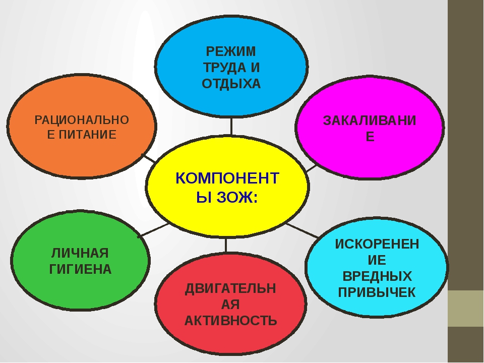 Зож компоненты презентация