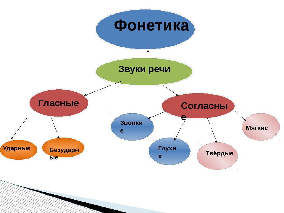 Фонетика в картинках