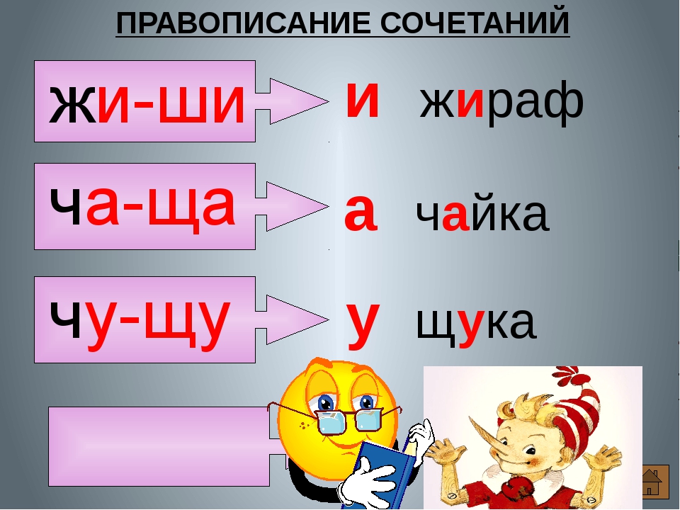 жи-ши ча-ща чу-щу правило в картинках печать успел выстрелить