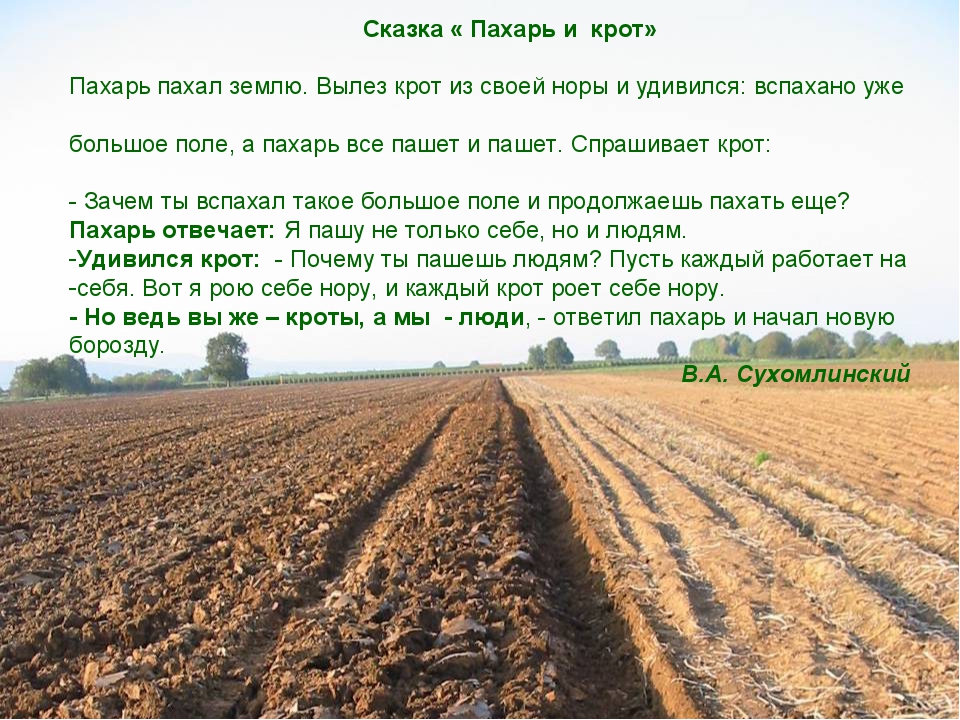 Сонник поле. Сказка Пахарь и Крот. Плуг и борозда. Пахарь пашет землю. Притча Пахарь и Крот.