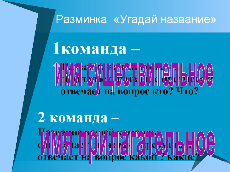 Лесной банк функциональная грамотность 1 класс