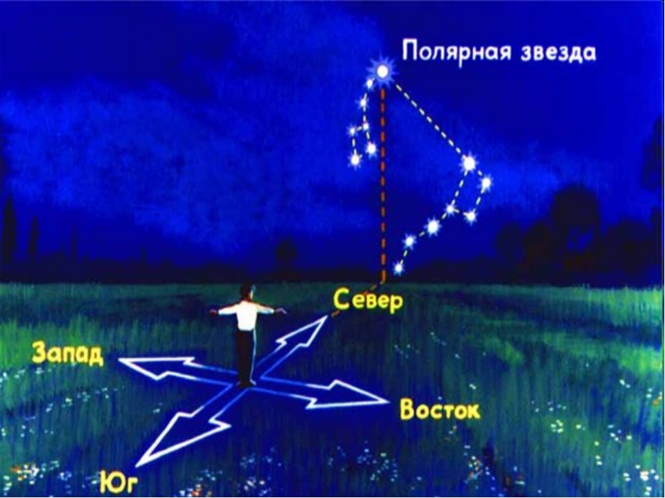 Презентация на тему созвездия