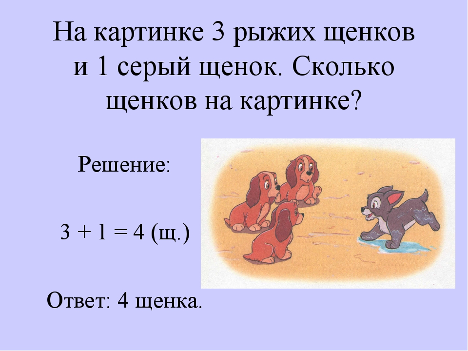 Щенок весил 2 кг когда он вырос его масса увеличилась в 4 раза