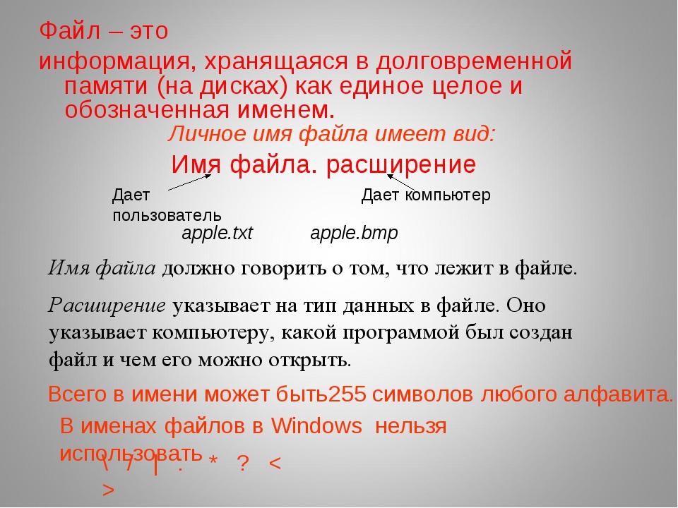 Файл это поименная группа данных в долговременной памяти любая группа данных на диске папка каталог