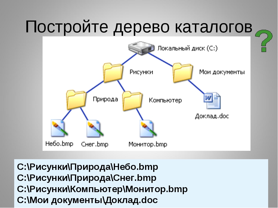 Дерево каталогов рисунок