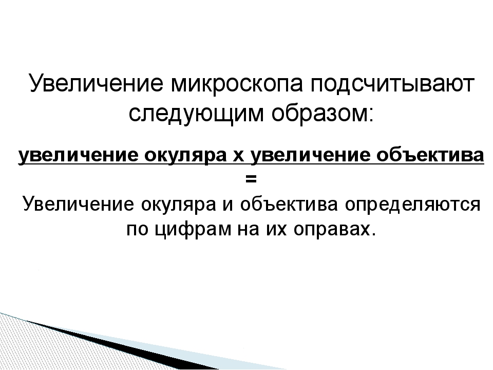 Рисунок был выполнен при работе со штативной лупой на которой указано увеличение окуляра 15