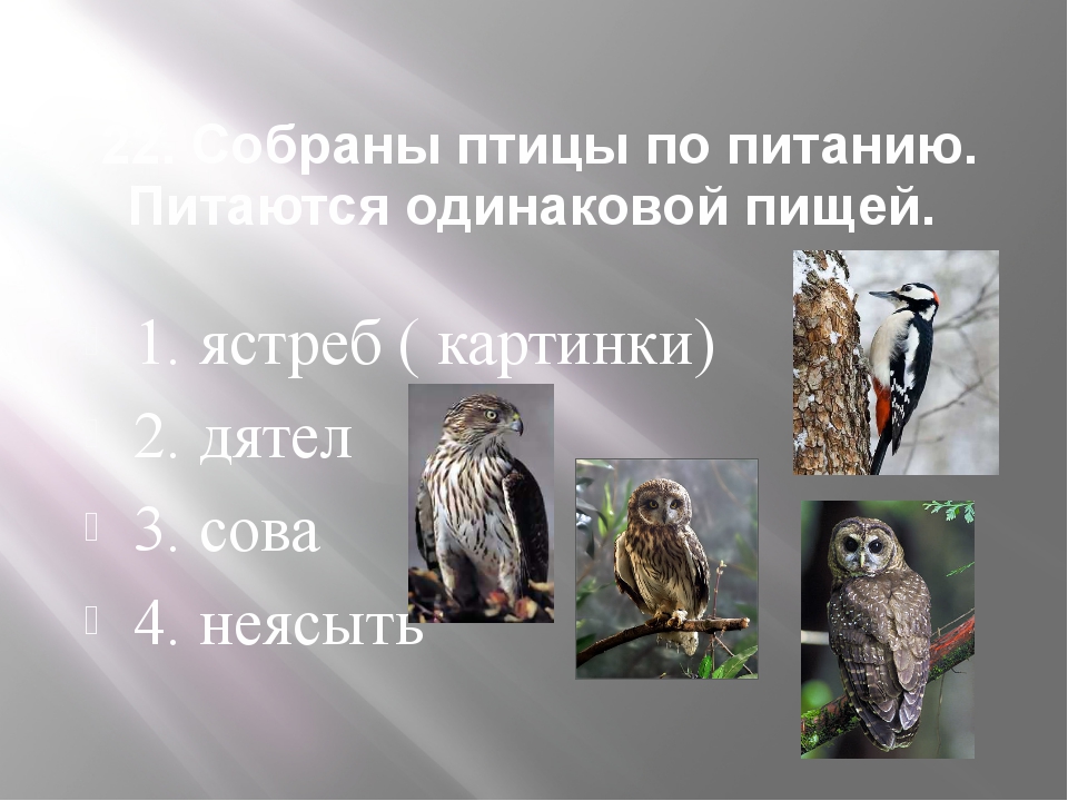 Используя рисунок 164 найдите черты отличия выводковых и гнездовых птиц 7 класс кратко