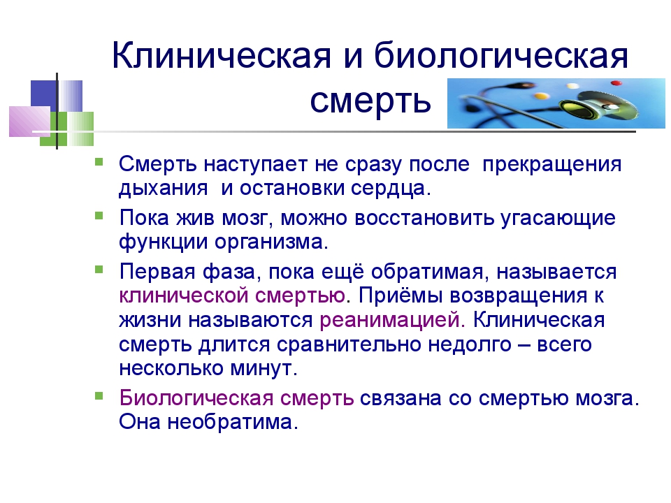 Виды смертности