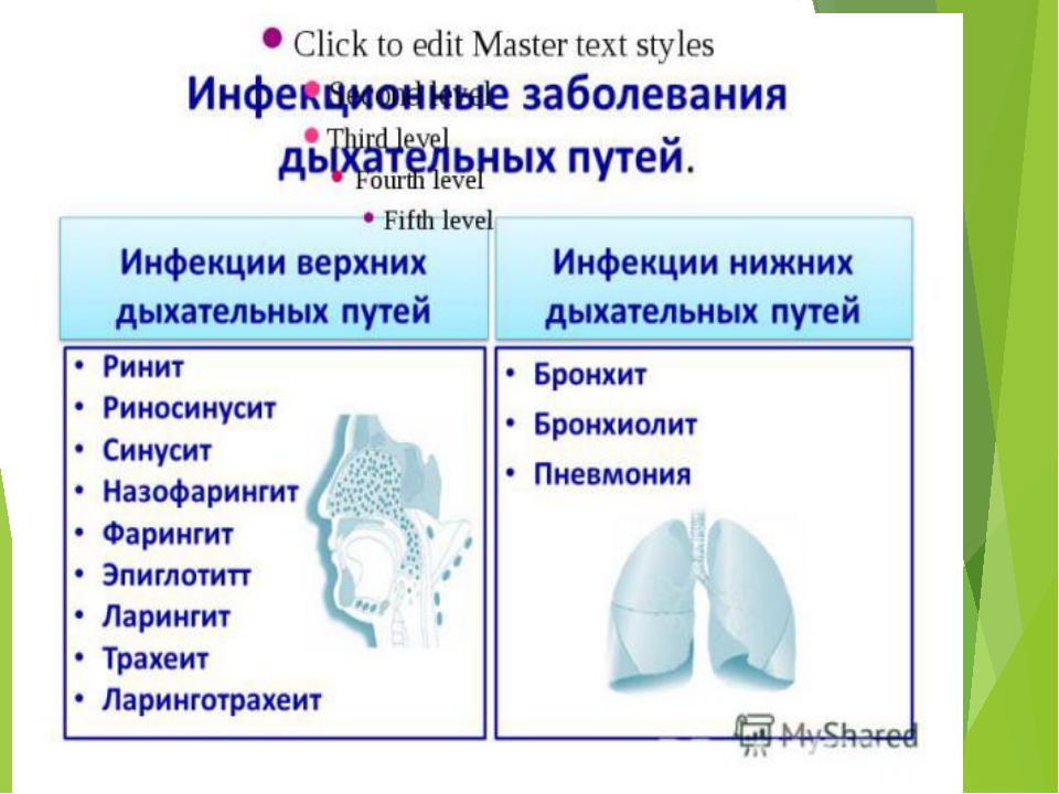 Руководство по дыхательной технике вима хофа