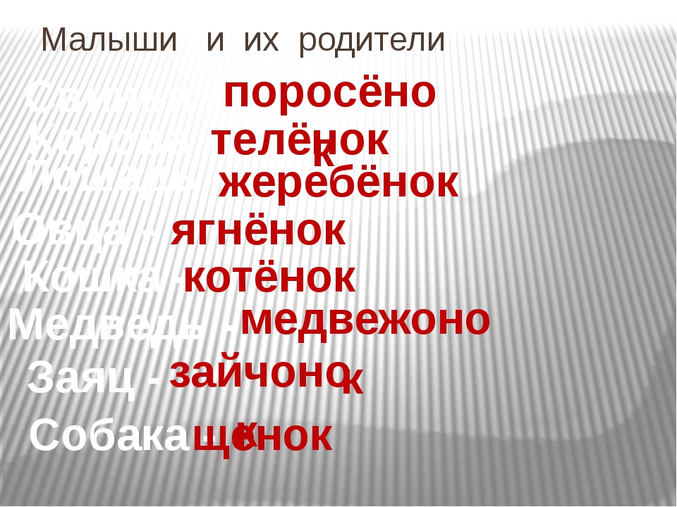 Томка и корова презентация 1 класс 21 век