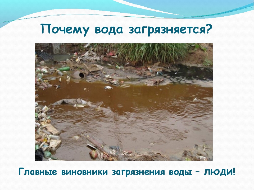 Презентация загрязнение воды 7 класс