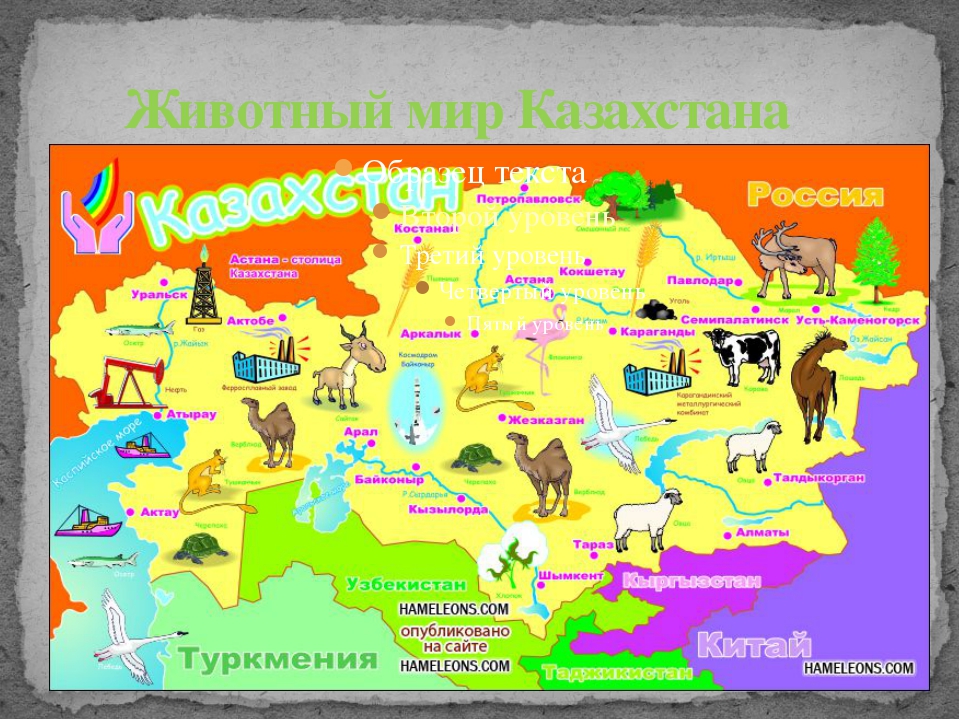 Казахстан презентация по окружающему миру