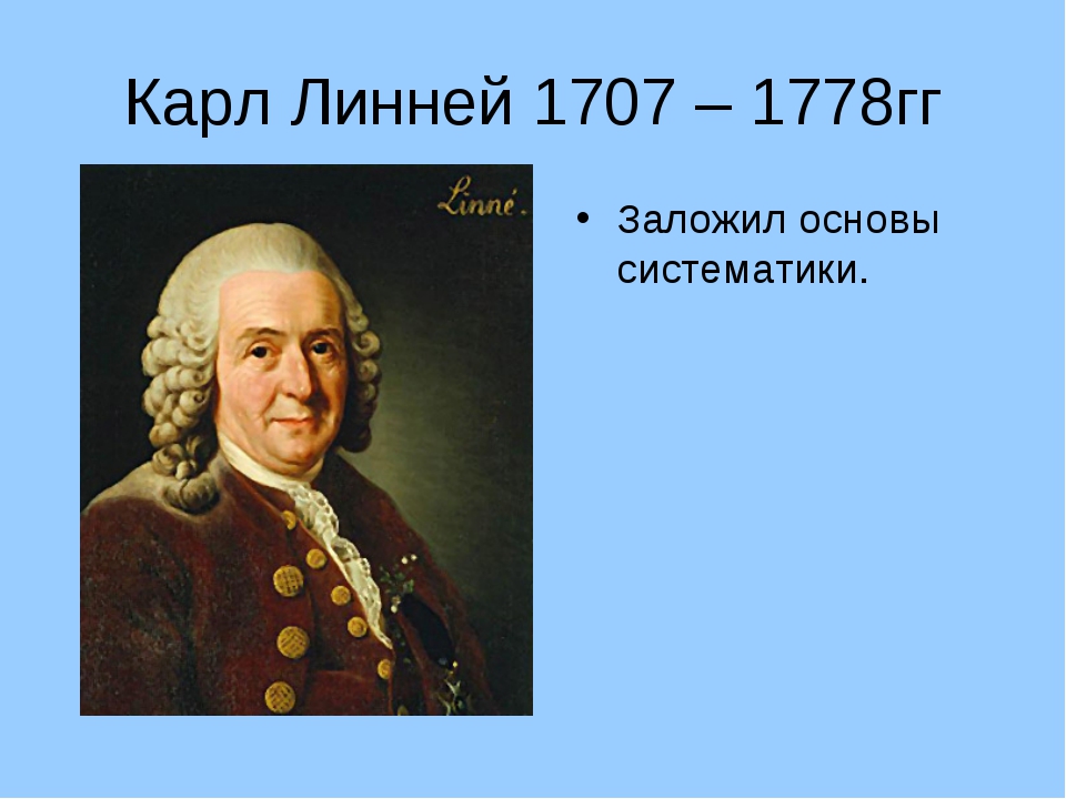 5 класс великие. Карл Линней (1707-1778). Великие естествоиспытатели Карл Линней. Карл Линней(1707-1778) портрет. Великие естествоиспытатели 5 класс биология Карл Линней.