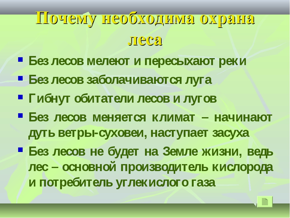 Берегите лес проект 2 класс окружающий мир