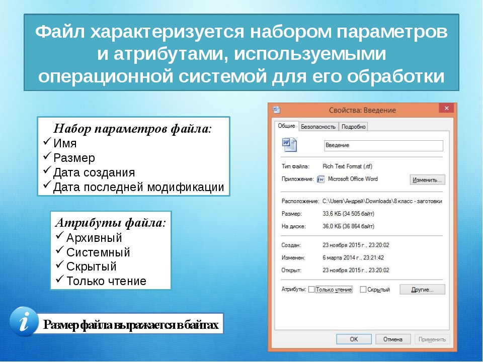 Основы параметров. Атрибуты файлов в операционной системе. Файлы характеризуются набором параметров:. Атрибуты файла это в информатике. Атрибуты файлов в ОС Windows..