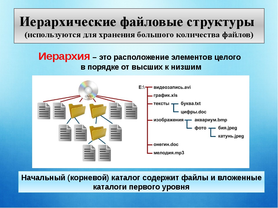 Что такое иерархическая файловая система