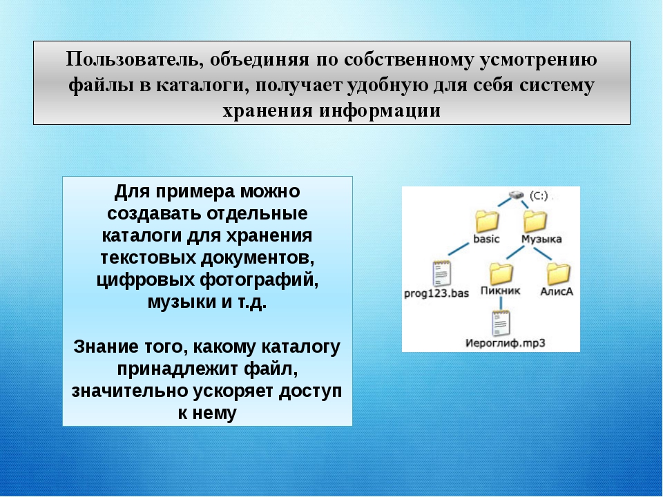 Файлы и файловые структуры 7 класс картинки