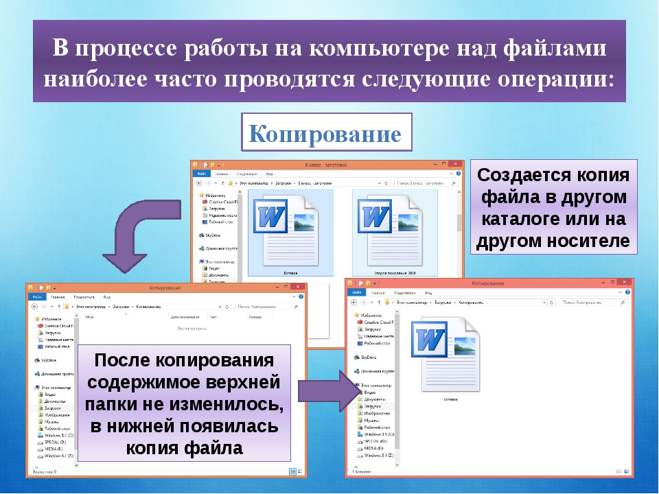 Использование команд работы с файлами и каталогами работа с дисками