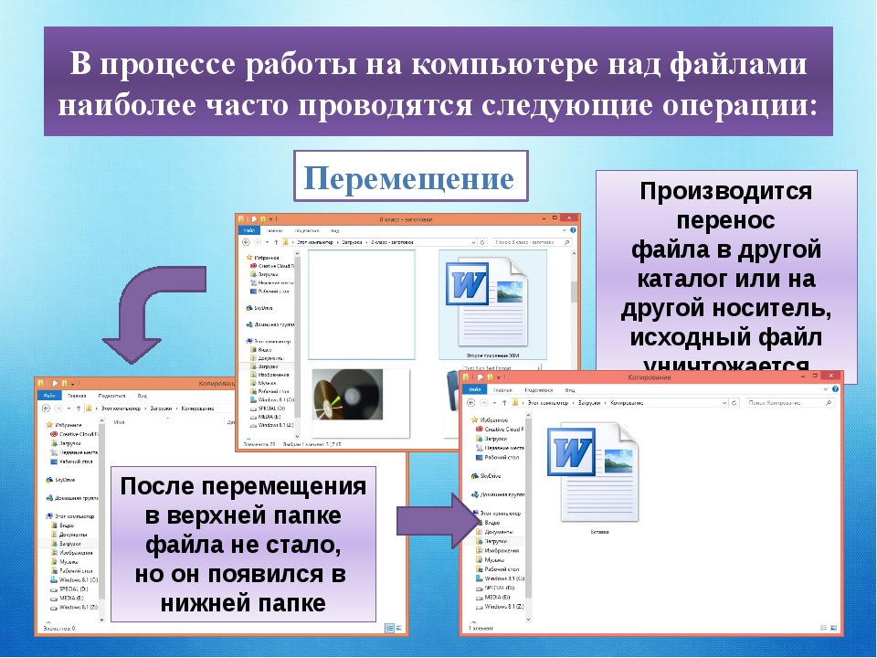 Архивы информатика презентация